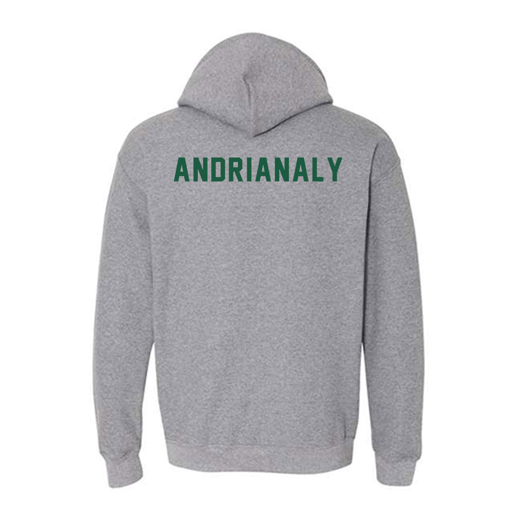 Saint Leo - NCAA Men's Tennis : Dylan Andrianaly - Hooded Sweatshirt-1