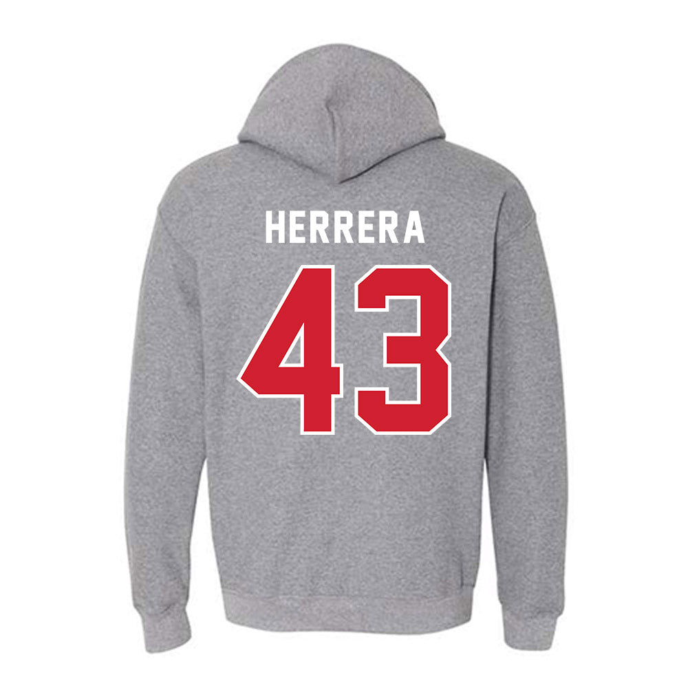 NWOSU - NCAA Baseball : Elias Herrera - Classic Shersey Hooded Sweatshirt-1