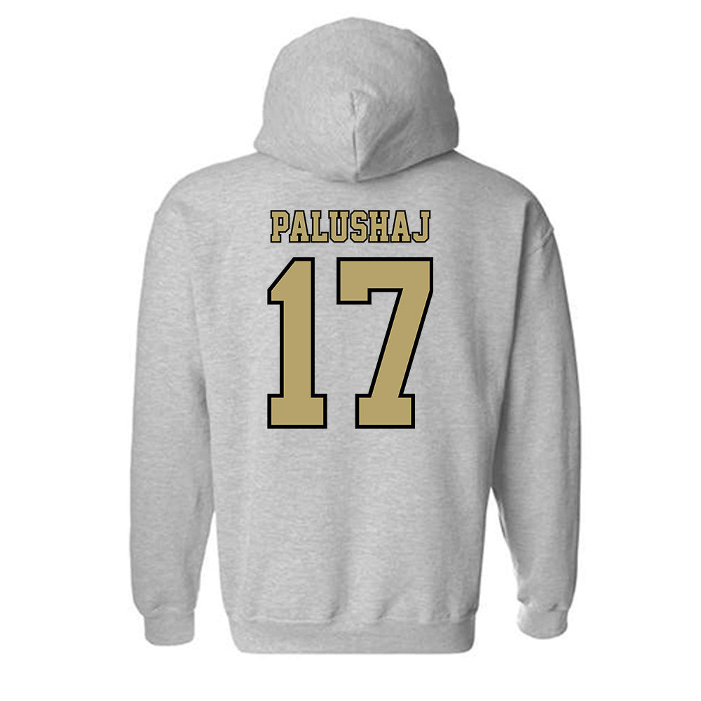 Lindenwood - NCAA Men's Soccer : Jozef Palushaj - Classic Shersey Hooded Sweatshirt-1