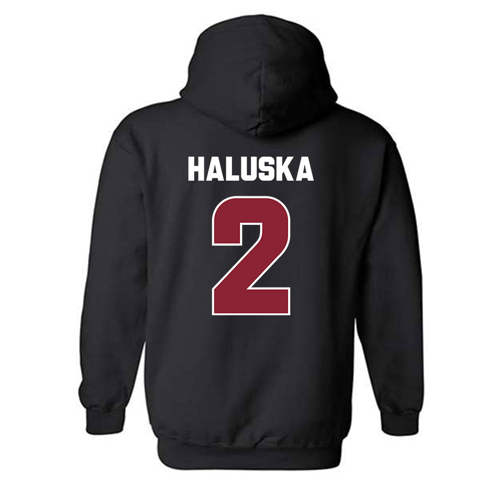 Colgate - NCAA Softball : Lily Haluska - Hooded Sweatshirt-1