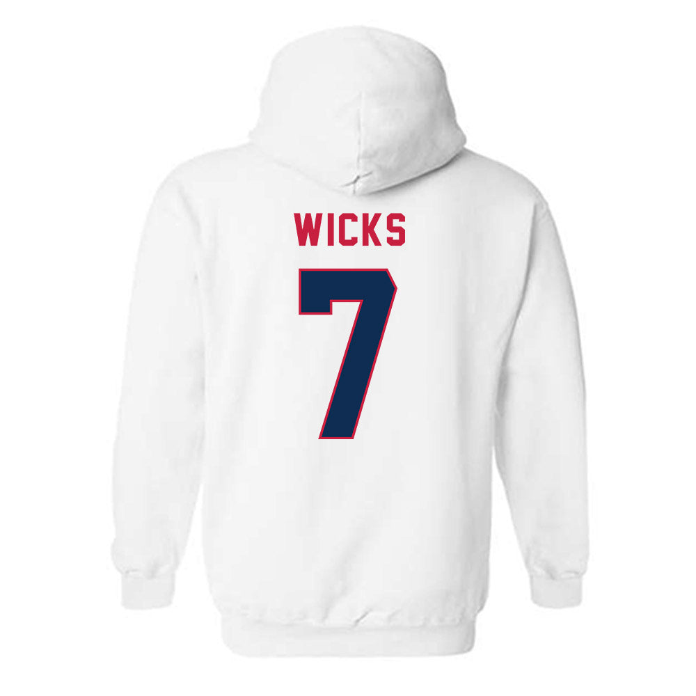MSU Denver - NCAA Baseball : Noah Wicks - Hooded Sweatshirt-1