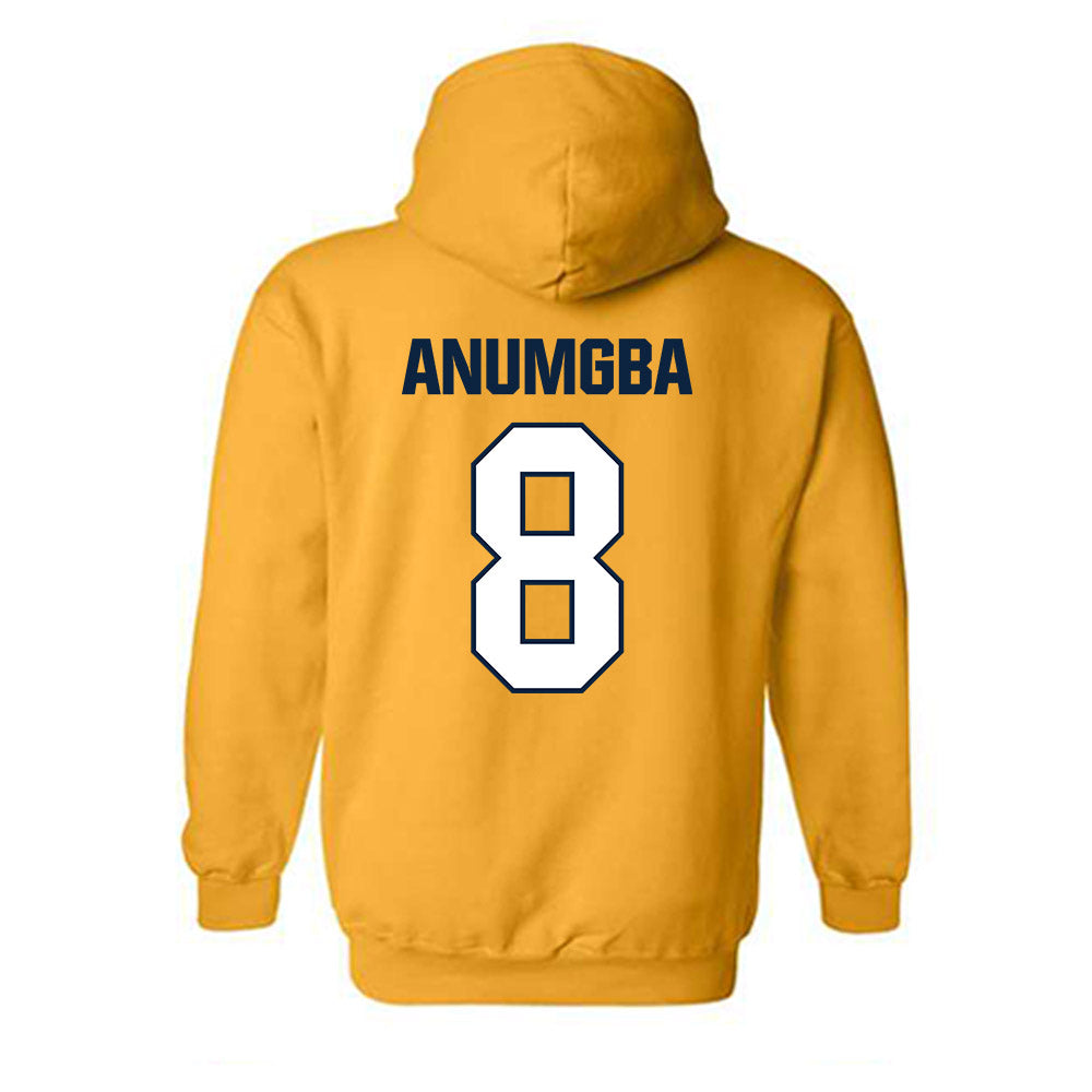Toledo - NCAA Women's Basketball : Patricia Anumgba - Hooded Sweatshirt-1