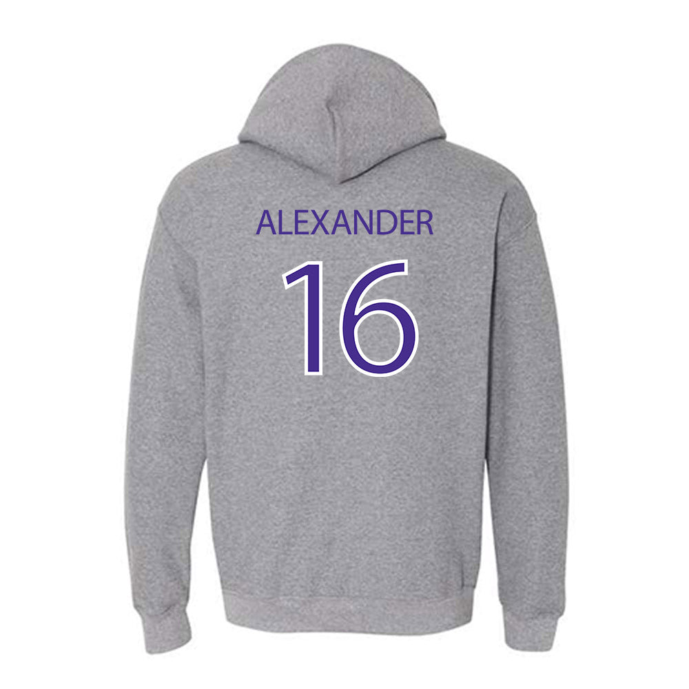 Sioux Falls - NCAA Softball : Alexis Alexander - Classic Shersey Hooded Sweatshirt-1