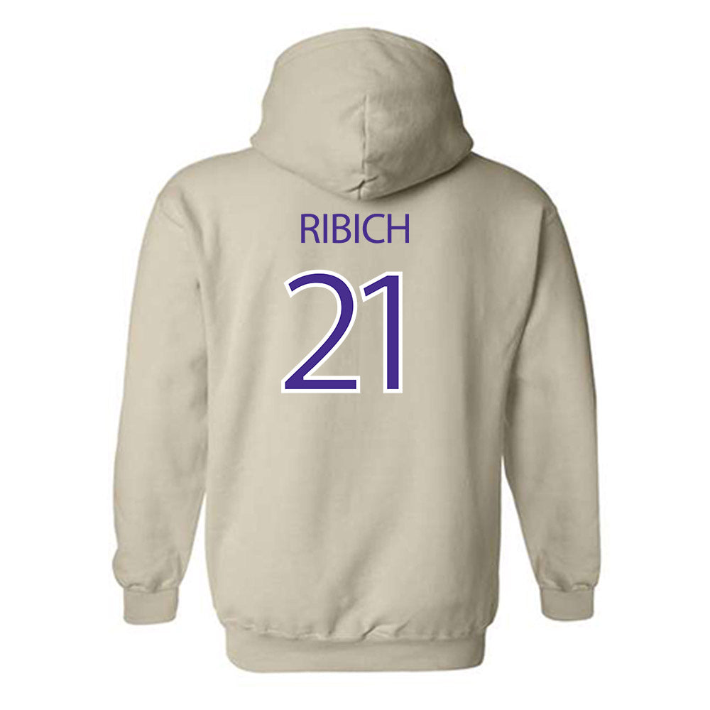 Sioux Falls - NCAA Softball : Sandra Ribich - Classic Shersey Hooded Sweatshirt-1