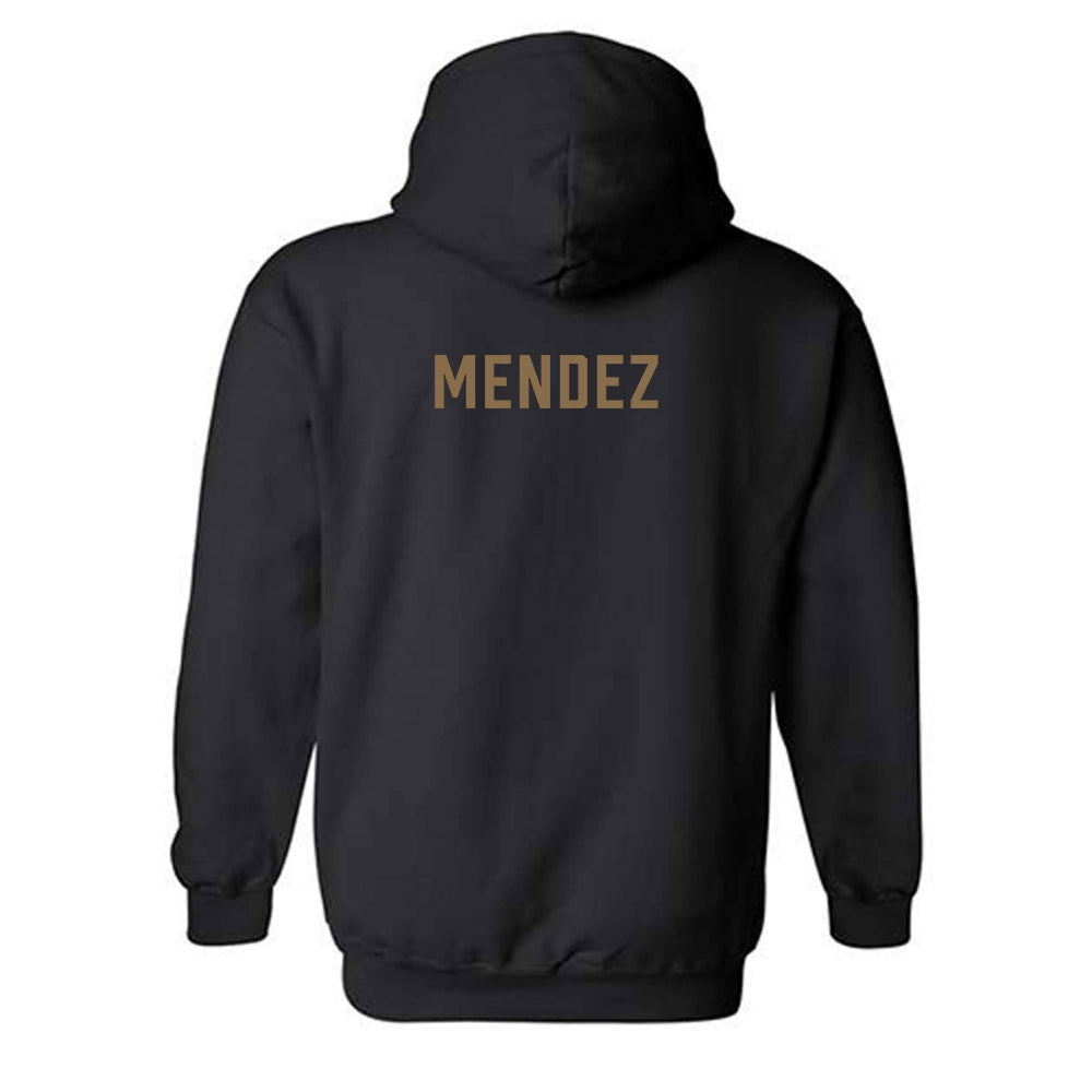 Wofford - NCAA Men's Track & Field : Rob Mendez - Classic Shersey Hooded Sweatshirt-1