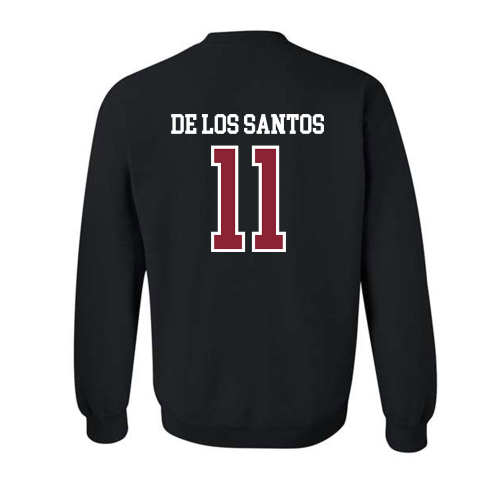 SCSU - NCAA Women's Soccer : Fay De Los Santos - Crewneck Sweatshirt-1