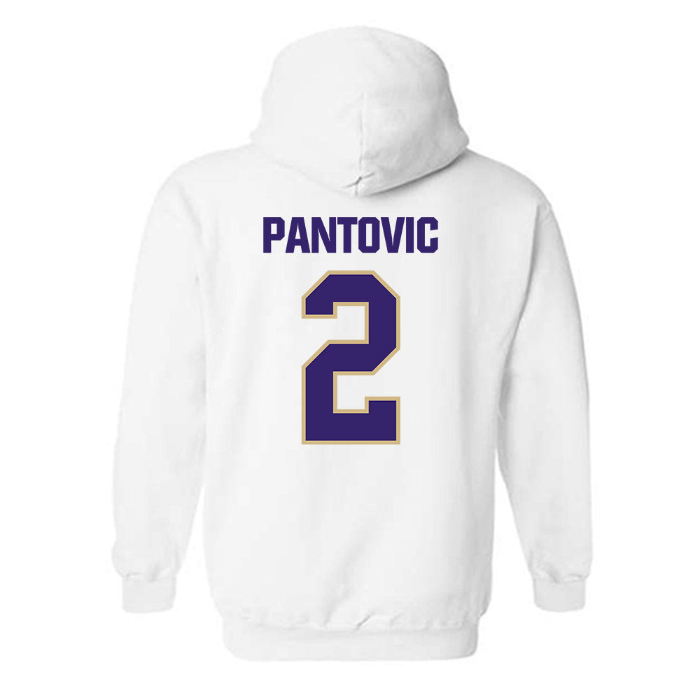 Washington - NCAA Beach Volleyball : Katarina Pantovic - Classic Shersey Hooded Sweatshirt-1