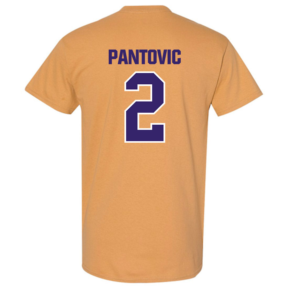 Washington - NCAA Beach Volleyball : Katarina Pantovic - Classic Shersey T-Shirt-1