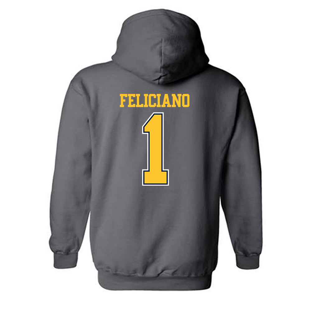 UCI - NCAA Women's Volleyball : Nicole Feliciano - Classic Shersey Hooded Sweatshirt-1