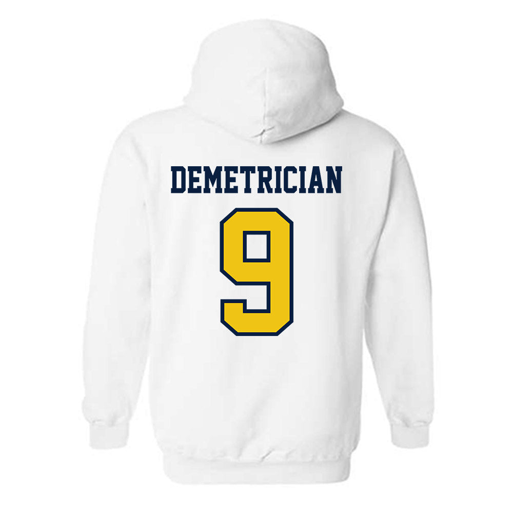 Michigan - NCAA Women's Volleyball : Ella Demetrician - Classic Shersey Hooded Sweatshirt-1