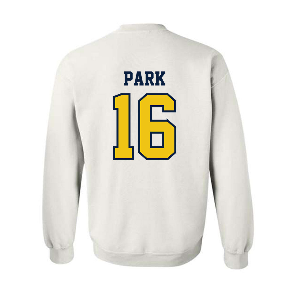 Michigan - NCAA Men's Ice Hockey : Aidan Park - Classic Shersey Crewneck Sweatshirt-1
