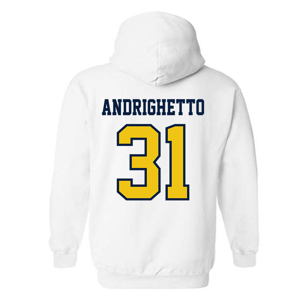 Michigan - NCAA Football : Nico Andrighetto - Classic Shersey Hooded Sweatshirt-1