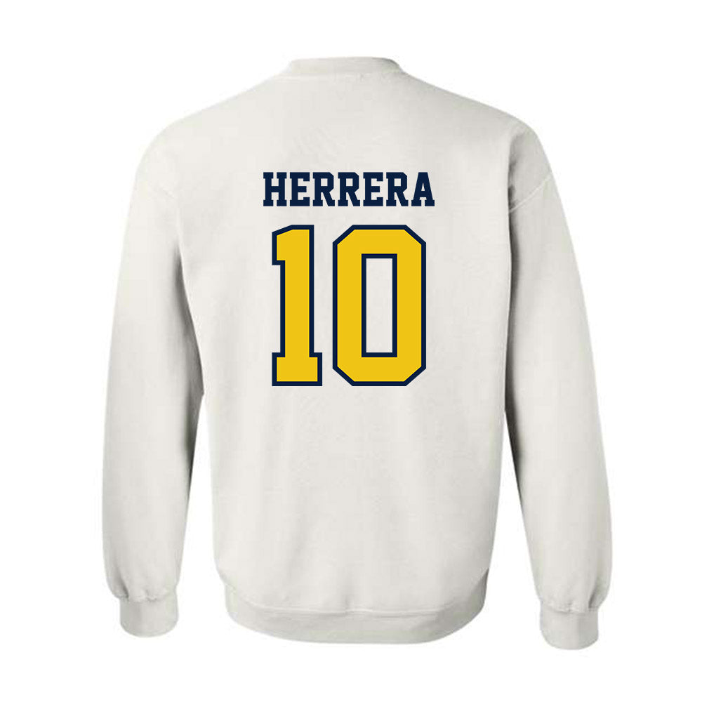 Michigan - NCAA Men's Soccer : Duilio Herrera - Classic Shersey Crewneck Sweatshirt-1