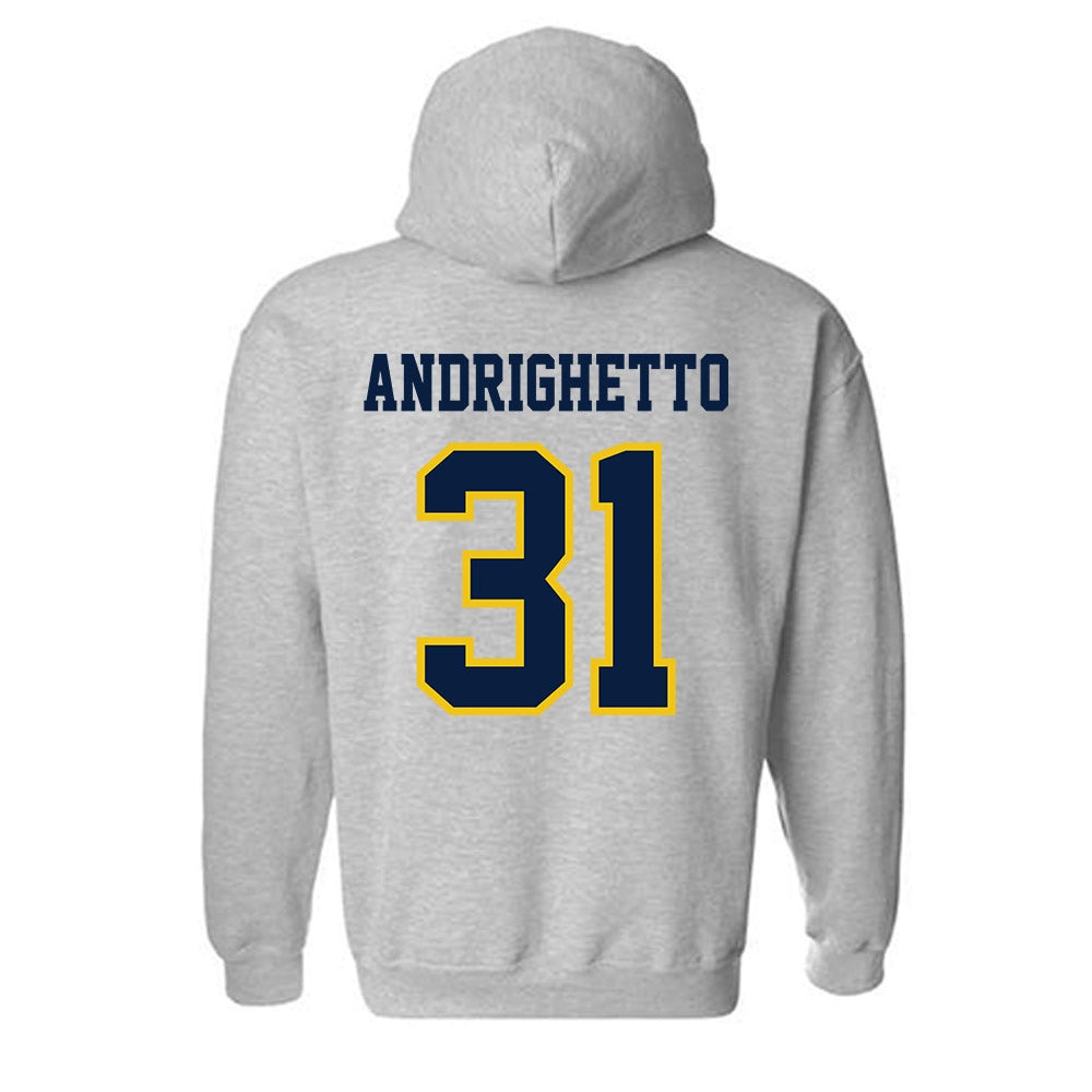 Michigan - NCAA Football : Nico Andrighetto - Classic Shersey Hooded Sweatshirt-1