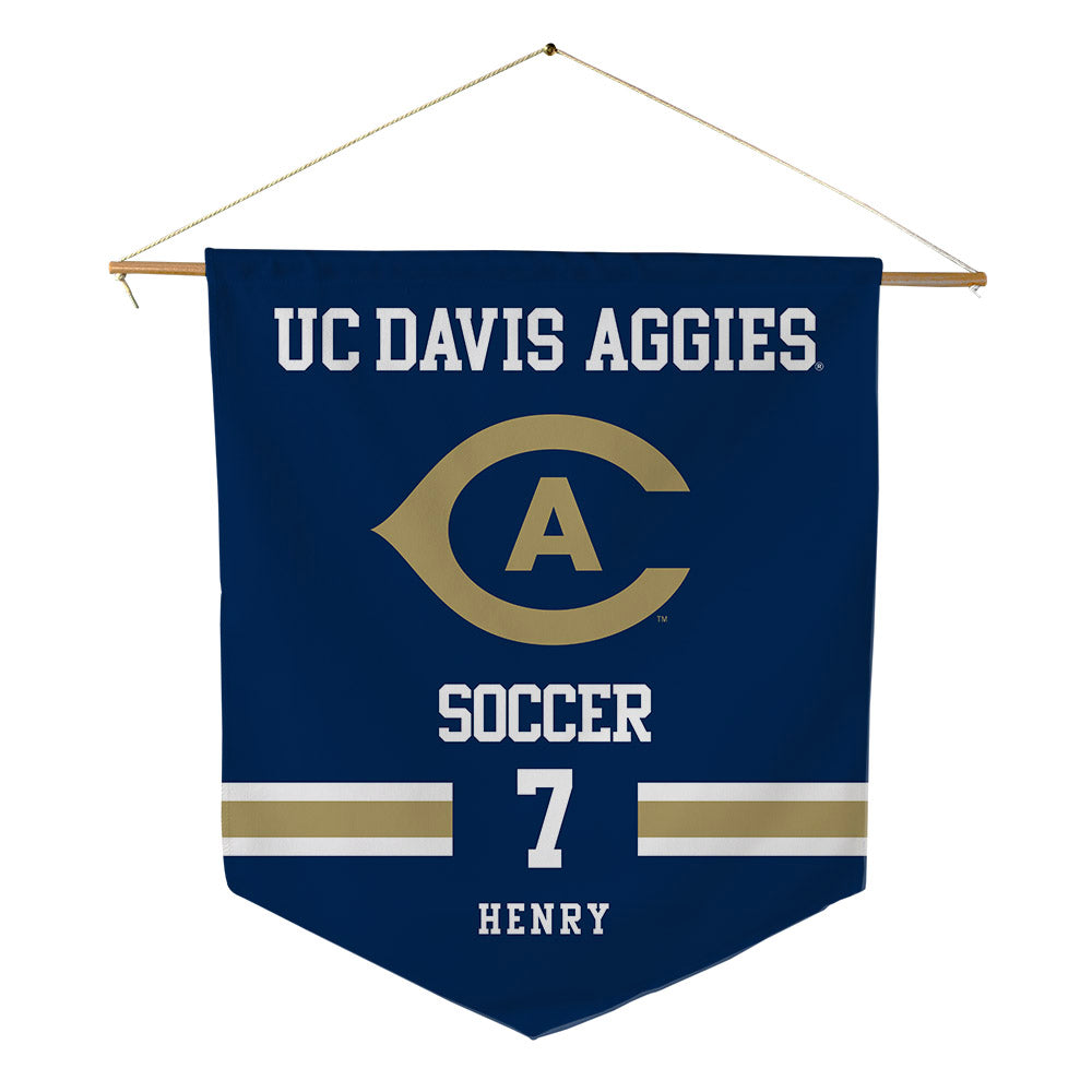 UC Davis - NCAA Women's Soccer : Payton Henry - Pennant - 18" x 21"-0