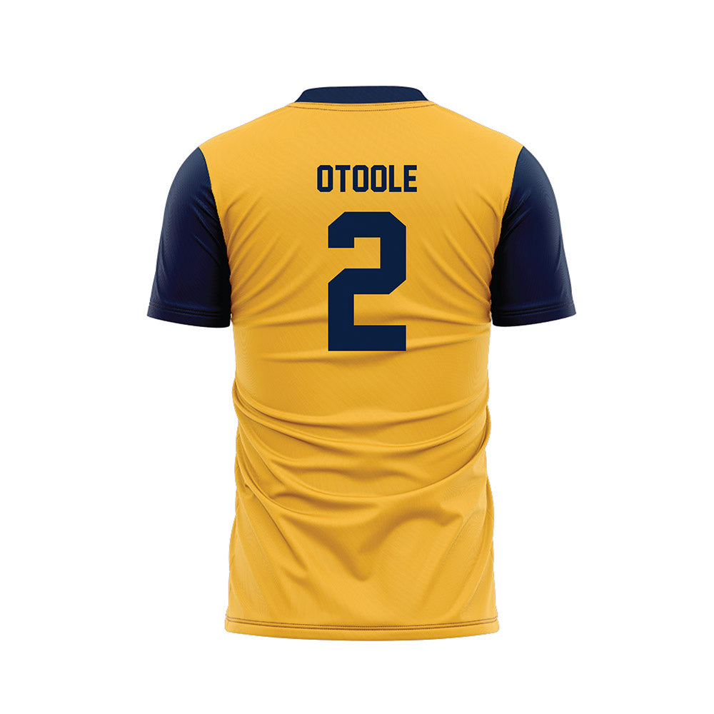Michigan - NCAA Men's Soccer : Patrick OToole - Maize Soccer Jersey-1