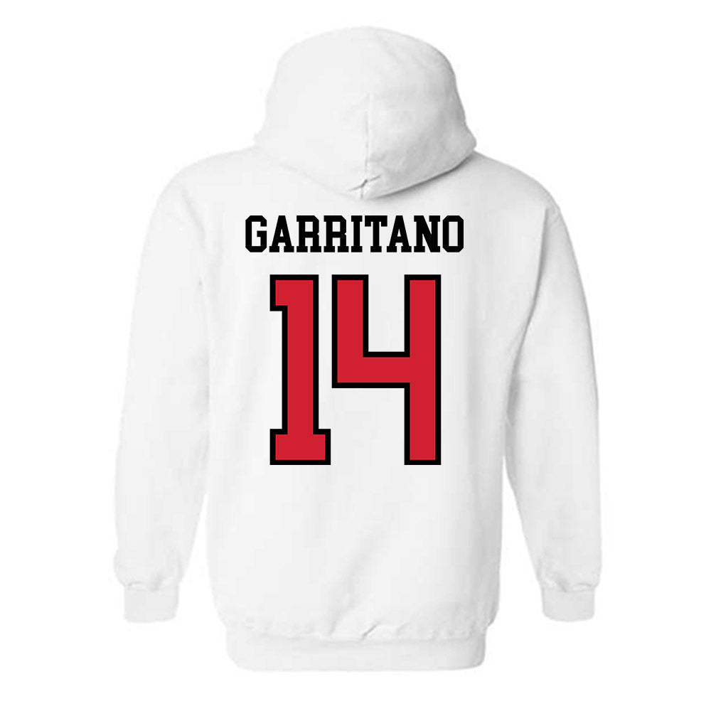 UNLV - NCAA Baseball : Nicky Garritano - Classic Shersey Hooded Sweatshirt-1