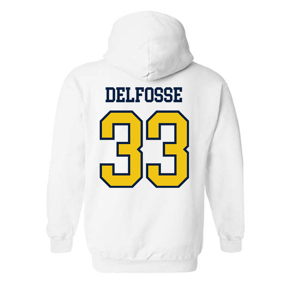 Michigan - NCAA Women's Basketball : Te'Yala Delfosse - Classic Shersey Hooded Sweatshirt-1