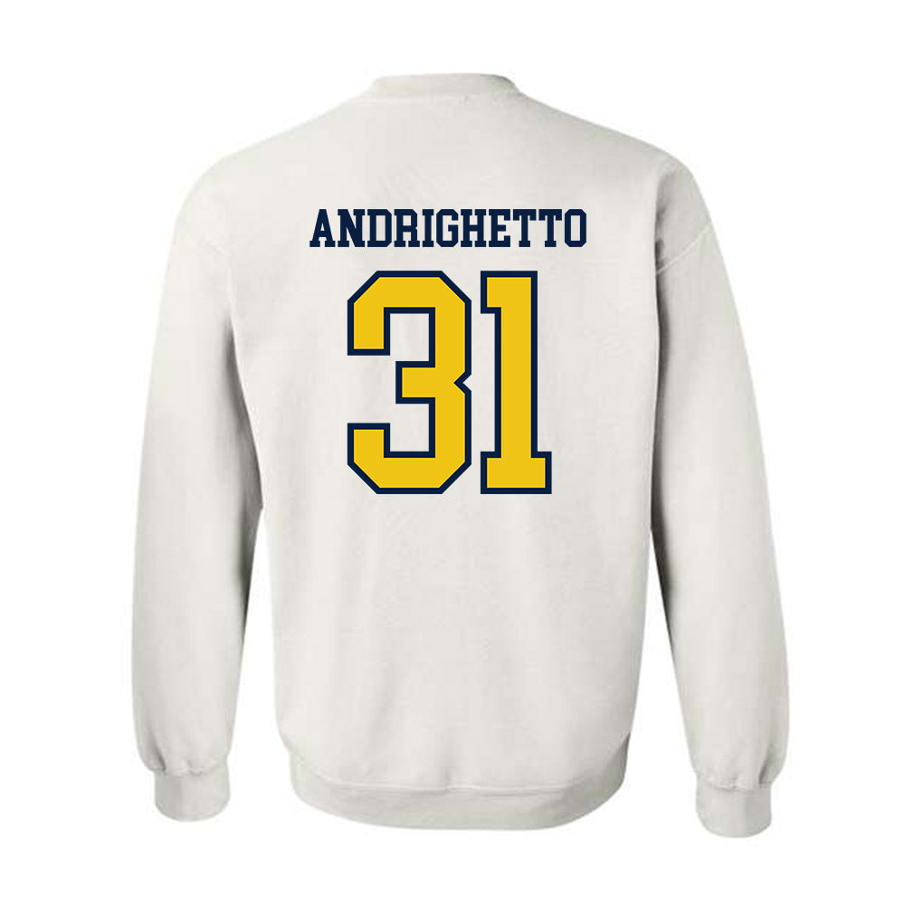 Michigan - NCAA Football : Nico Andrighetto - Classic Shersey Crewneck Sweatshirt-1