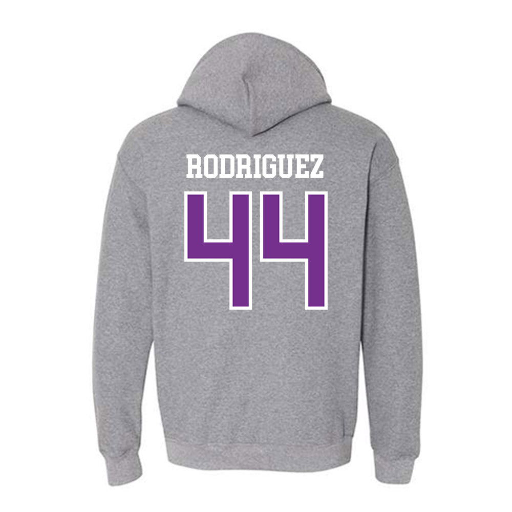 Mount Union - NCAA Men's Basketball : Darius Rodriguez - Classic Shersey Hooded Sweatshirt-1