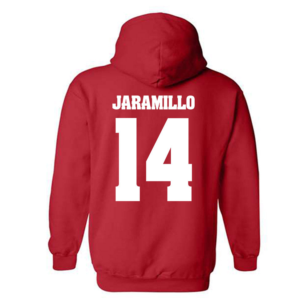 Wisconsin - NCAA Women's Basketball : Reese Jaramillo - Classic Shersey Hooded Sweatshirt-1