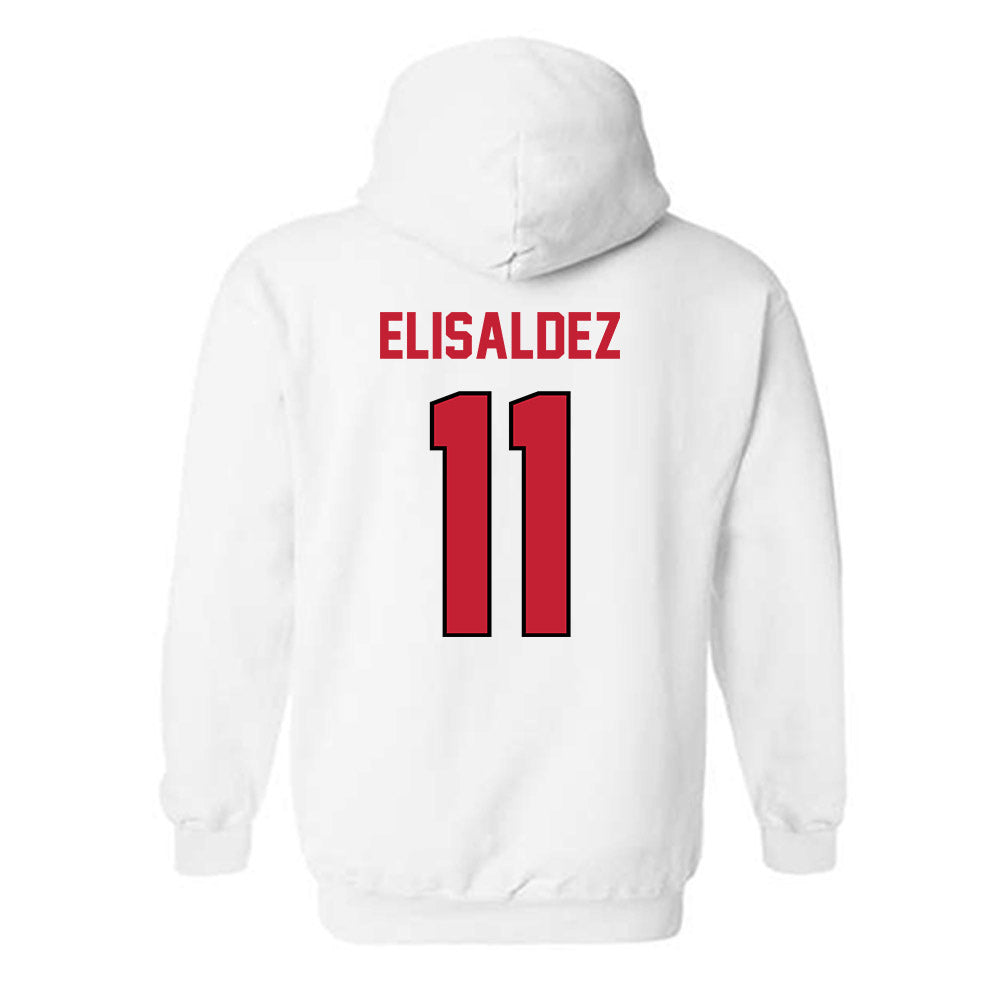 Wisconsin - NCAA Women's Basketball : Caia Elisaldez - Classic Shersey Hooded Sweatshirt-1