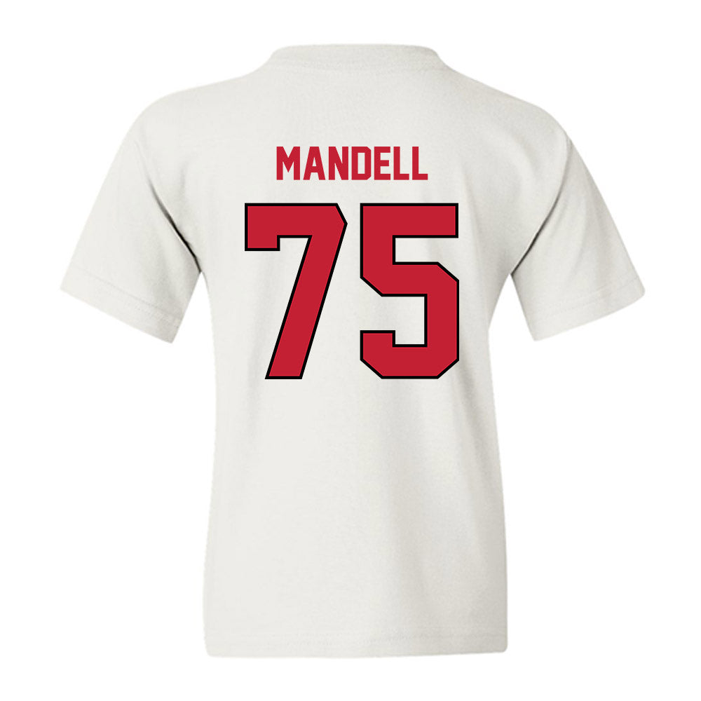 Wisconsin - NCAA Football : Emerson Mandell - Classic Shersey Youth T-Shirt-1