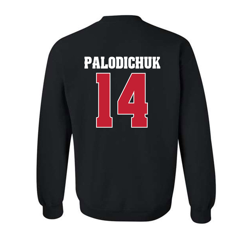 Wisconsin - NCAA Men's Ice Hockey : Joe Palodichuk - Classic Shersey Crewneck Sweatshirt-1