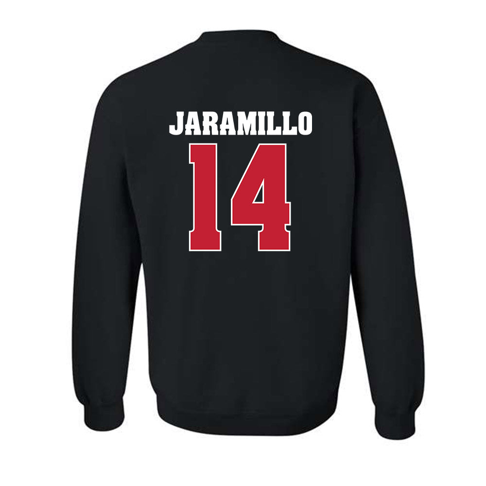 Wisconsin - NCAA Women's Basketball : Reese Jaramillo - Classic Shersey Crewneck Sweatshirt-1