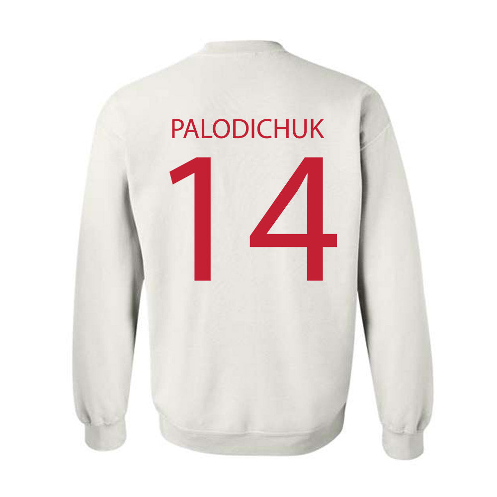 Wisconsin - NCAA Men's Ice Hockey : Joe Palodichuk - Sports Shersey Crewneck Sweatshirt-1