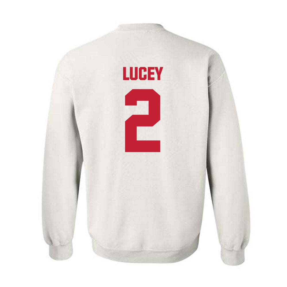 Wisconsin - NCAA Softball : Danielle Lucey - Sports Shersey Crewneck Sweatshirt-1