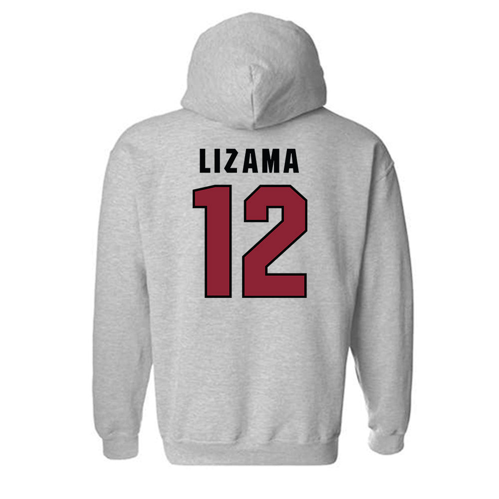 South Carolina - NCAA Baseball : Ethan Lizama - Classic Shersey Hooded Sweatshirt-1