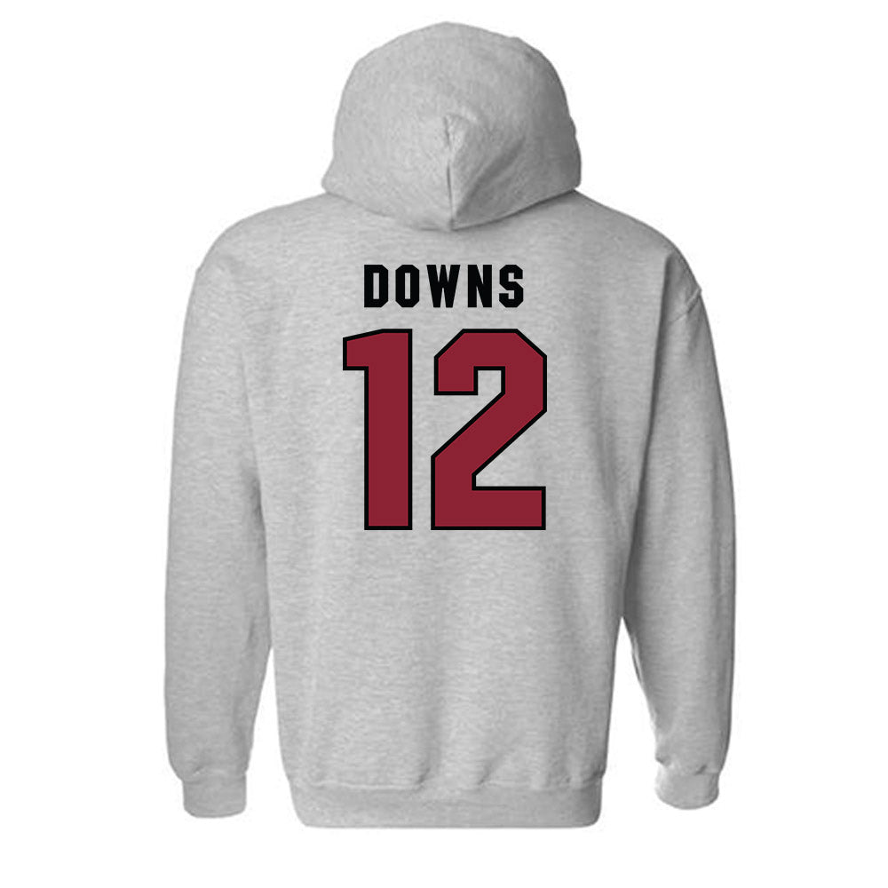 South Carolina - NCAA Beach Volleyball : Morgan Downs - Classic Shersey Hooded Sweatshirt-1