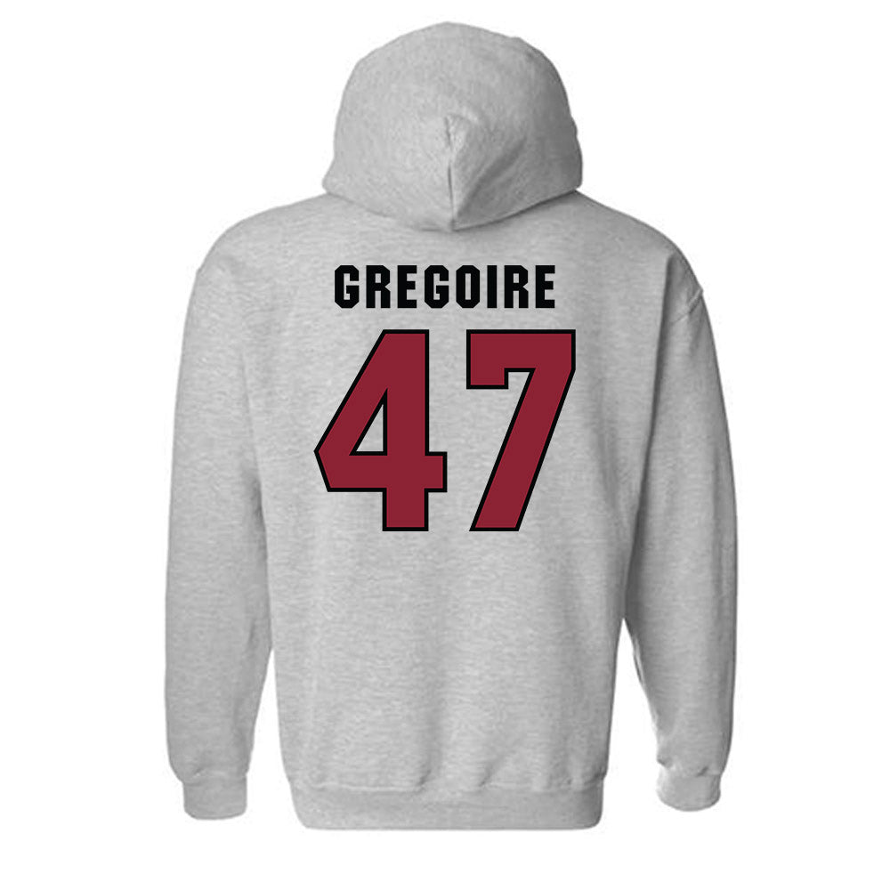 South Carolina - NCAA Baseball : Joshua Gregoire - Classic Shersey Hooded Sweatshirt-1
