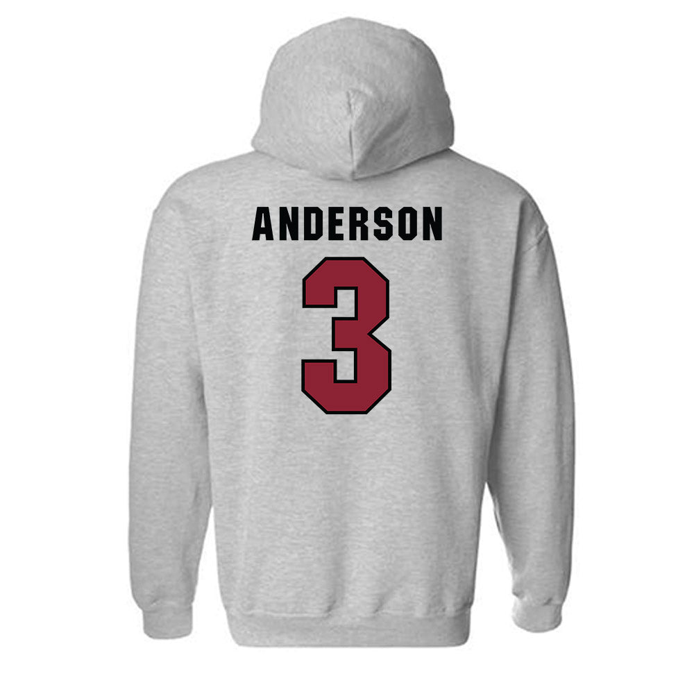 South Carolina - NCAA Softball : Shae Anderson - Classic Shersey Hooded Sweatshirt-1