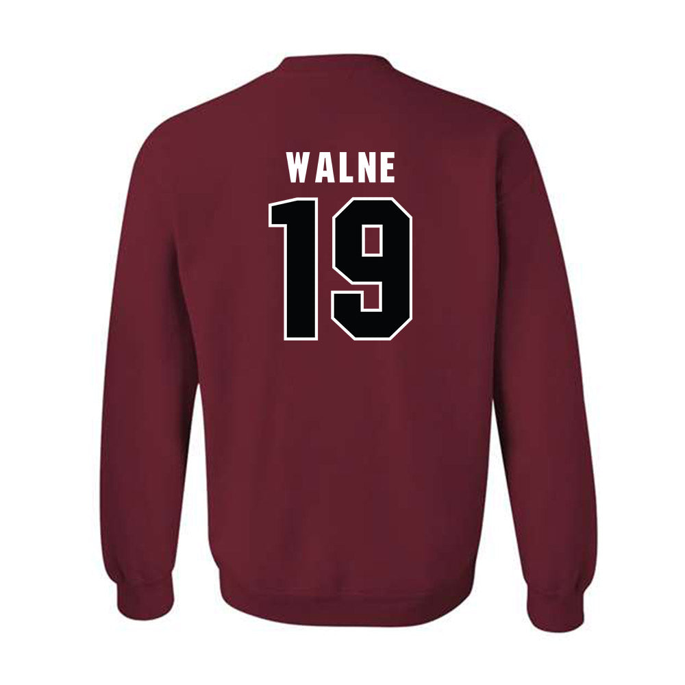 South Carolina - NCAA Women's Soccer : Emily Walne - Classic Shersey Crewneck Sweatshirt-1