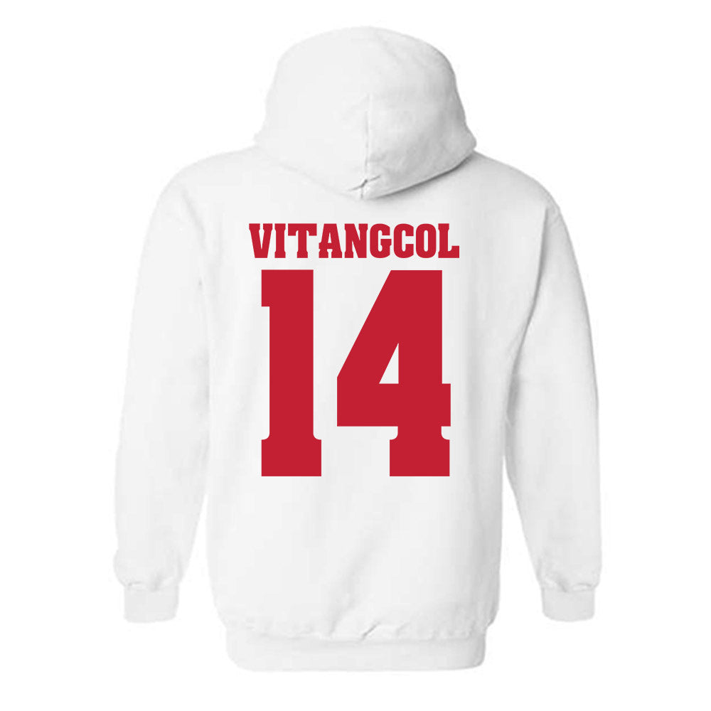 Wisconsin - NCAA Softball : Sydney Vitangcol - Classic Shersey Hooded Sweatshirt-1