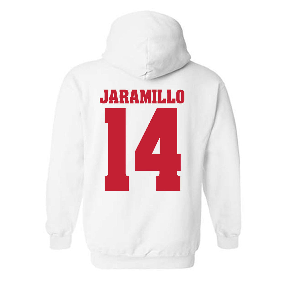 Wisconsin - NCAA Women's Basketball : Reese Jaramillo - Classic Shersey Hooded Sweatshirt-1