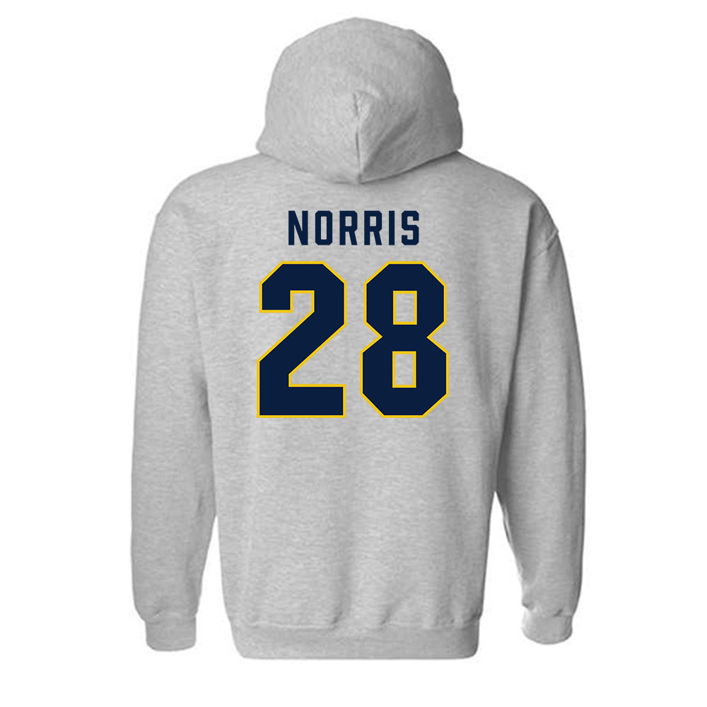 Michigan - NCAA Women's Lacrosse : Calli Norris - Classic Shersey Hooded Sweatshirt-1