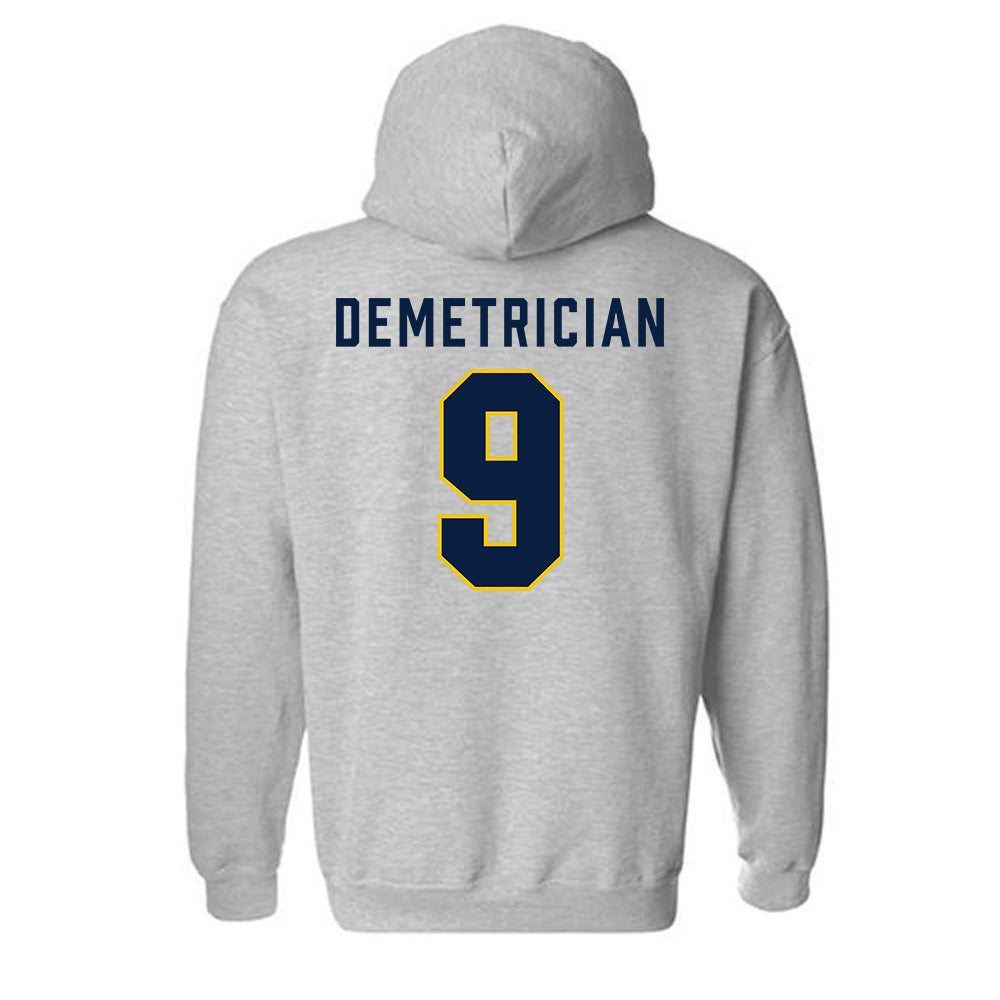 Michigan - NCAA Women's Volleyball : Ella Demetrician - Classic Shersey Hooded Sweatshirt-1