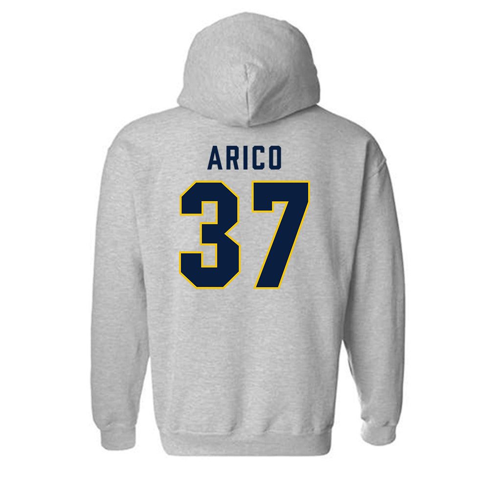 Michigan - NCAA Women's Lacrosse : Emma Arico - Classic Shersey Hooded Sweatshirt-1