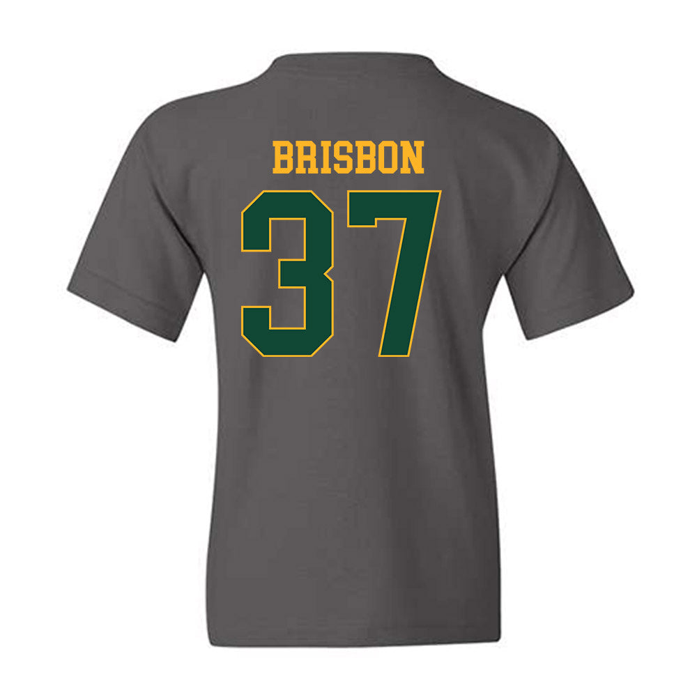 Baylor - NCAA Football : Demetrius Brisbon - Sports Shersey Youth T-Shirt-1