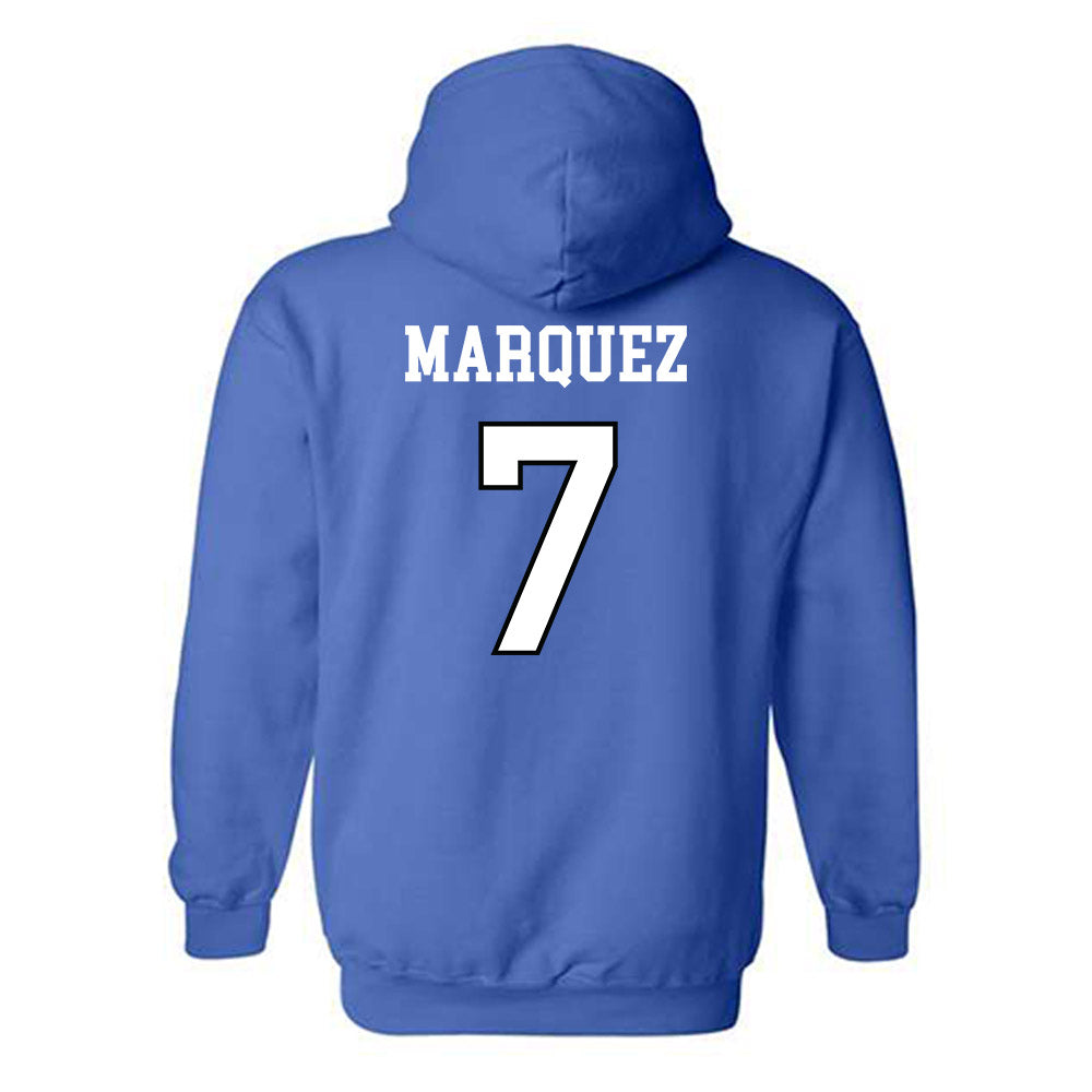 UNC Asheville - NCAA Women's Basketball : Aileen Marquez - Classic Shersey Hooded Sweatshirt-1