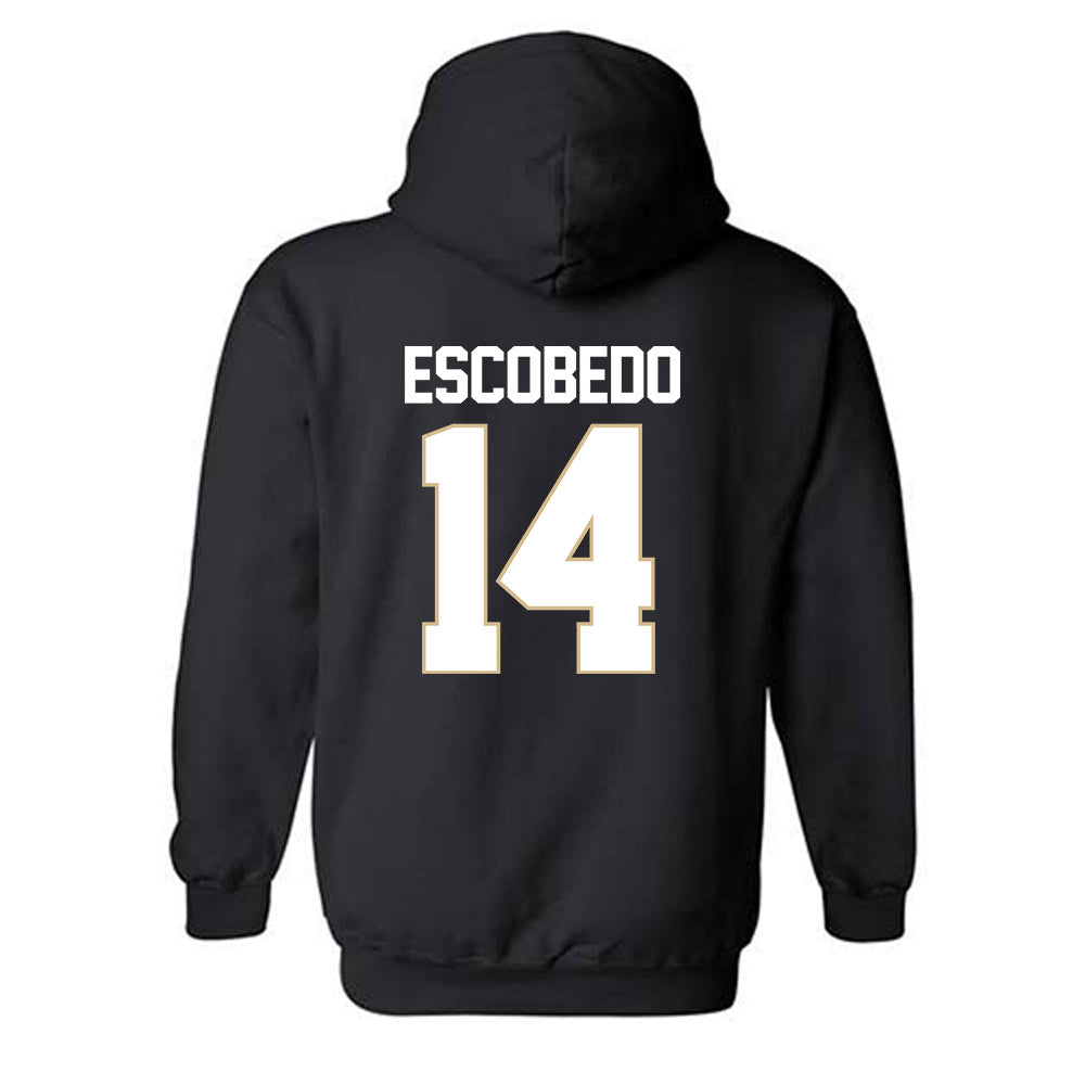 PFW - NCAA Men's Soccer : Jonny Escobedo - Classic Shersey Hooded Sweatshirt-1