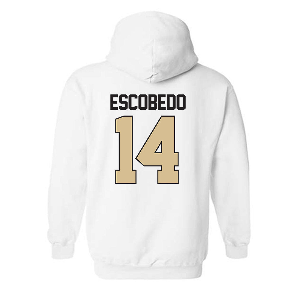 PFW - NCAA Men's Soccer : Jonny Escobedo - Classic Shersey Hooded Sweatshirt-1