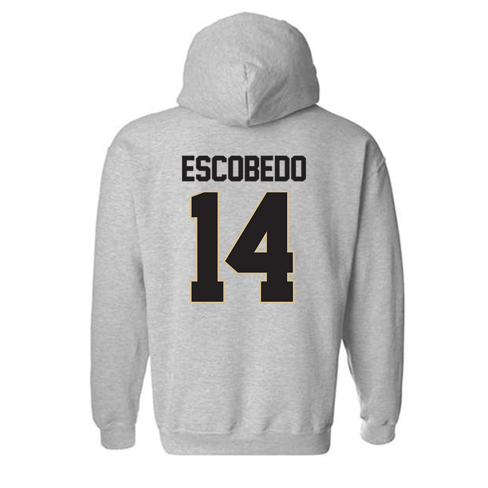 PFW - NCAA Men's Soccer : Jonny Escobedo - Classic Shersey Hooded Sweatshirt-1