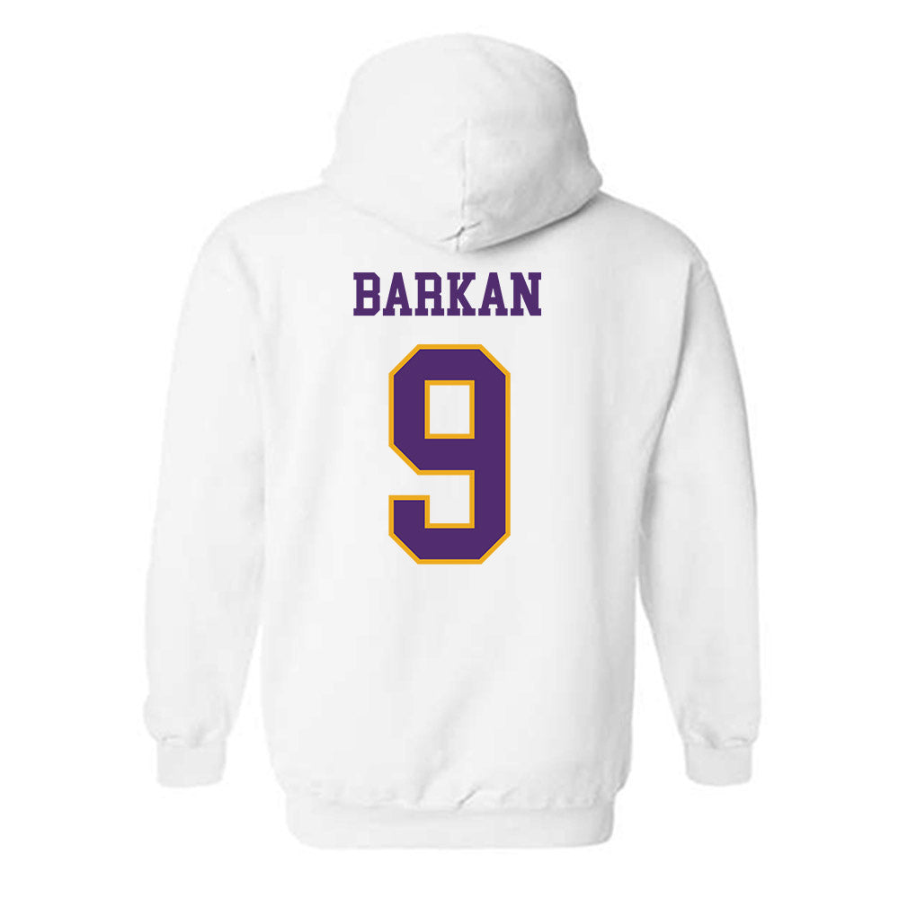 Albany - NCAA Men's Soccer : David Barkan - Classic Shersey Hooded Sweatshirt-1