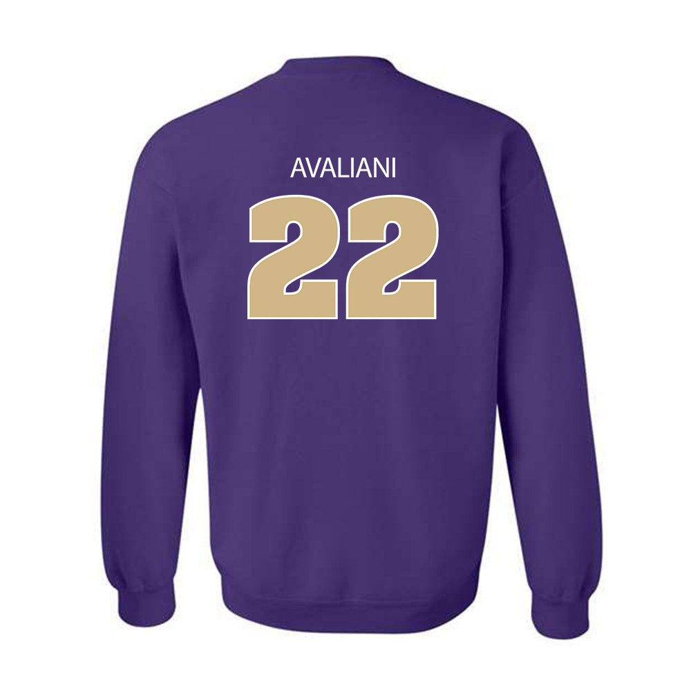 Sewanee - NCAA Men's Basketball : Nikolas Avaliani - Classic Shersey Crewneck Sweatshirt-1
