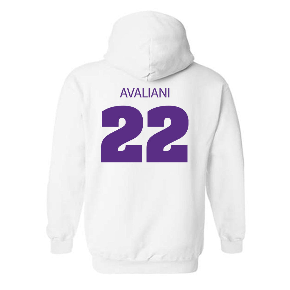 Sewanee - NCAA Men's Basketball : Nikolas Avaliani - Classic Shersey Hooded Sweatshirt-1