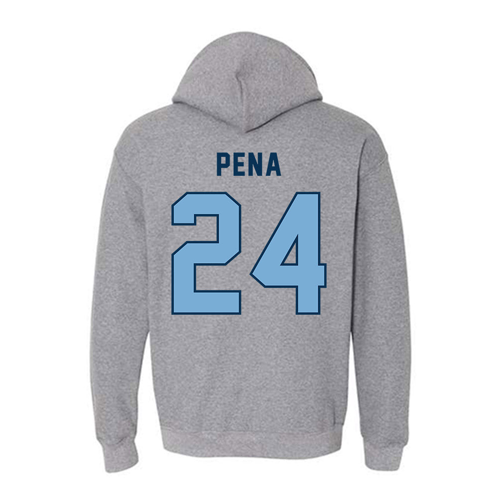 CSU Monterey Bay - NCAA Women's Basketball : Janelle Pena - Classic Shersey Hooded Sweatshirt-1